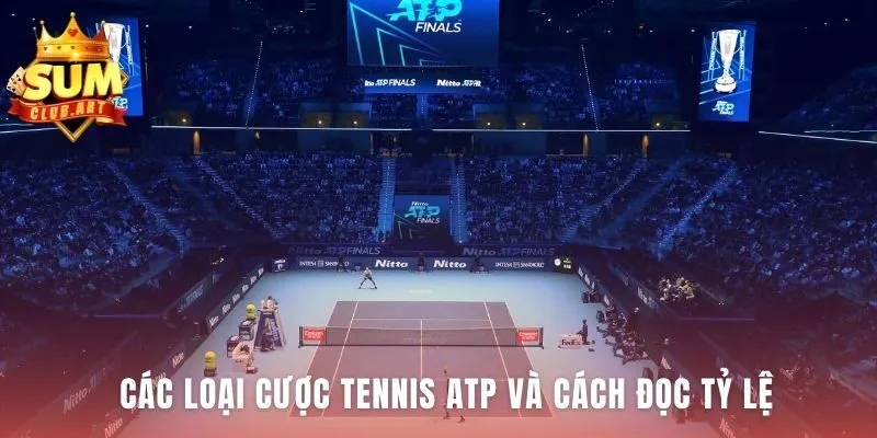 Các loại cược Tennis ATP Cá Độ giúp đa dạng hóa chiến lược