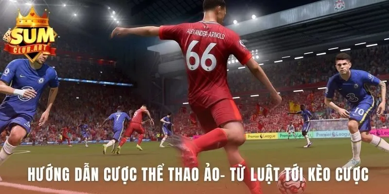 Giải mã luật chơi cùng các loại kèo Thể Thao Ảo phổ biến