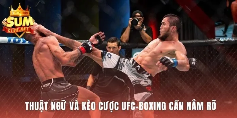 Boxing UFC Cá Độ phân biệt luật lệ và kèo cược hai bộ môn